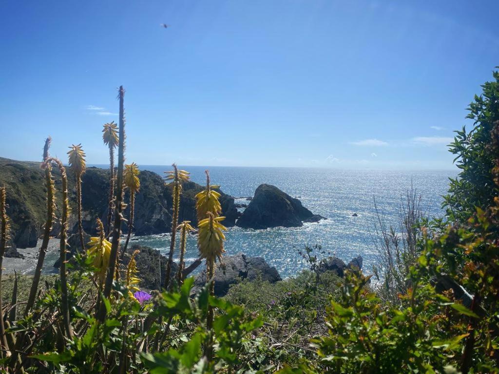 Casa Do Brejao Campo E Praia Одемира Екстериор снимка