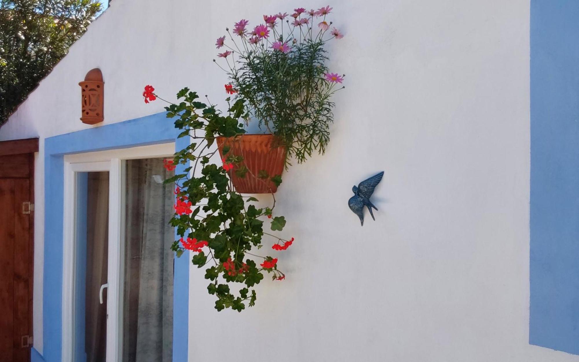 Casa Do Brejao Campo E Praia Одемира Екстериор снимка