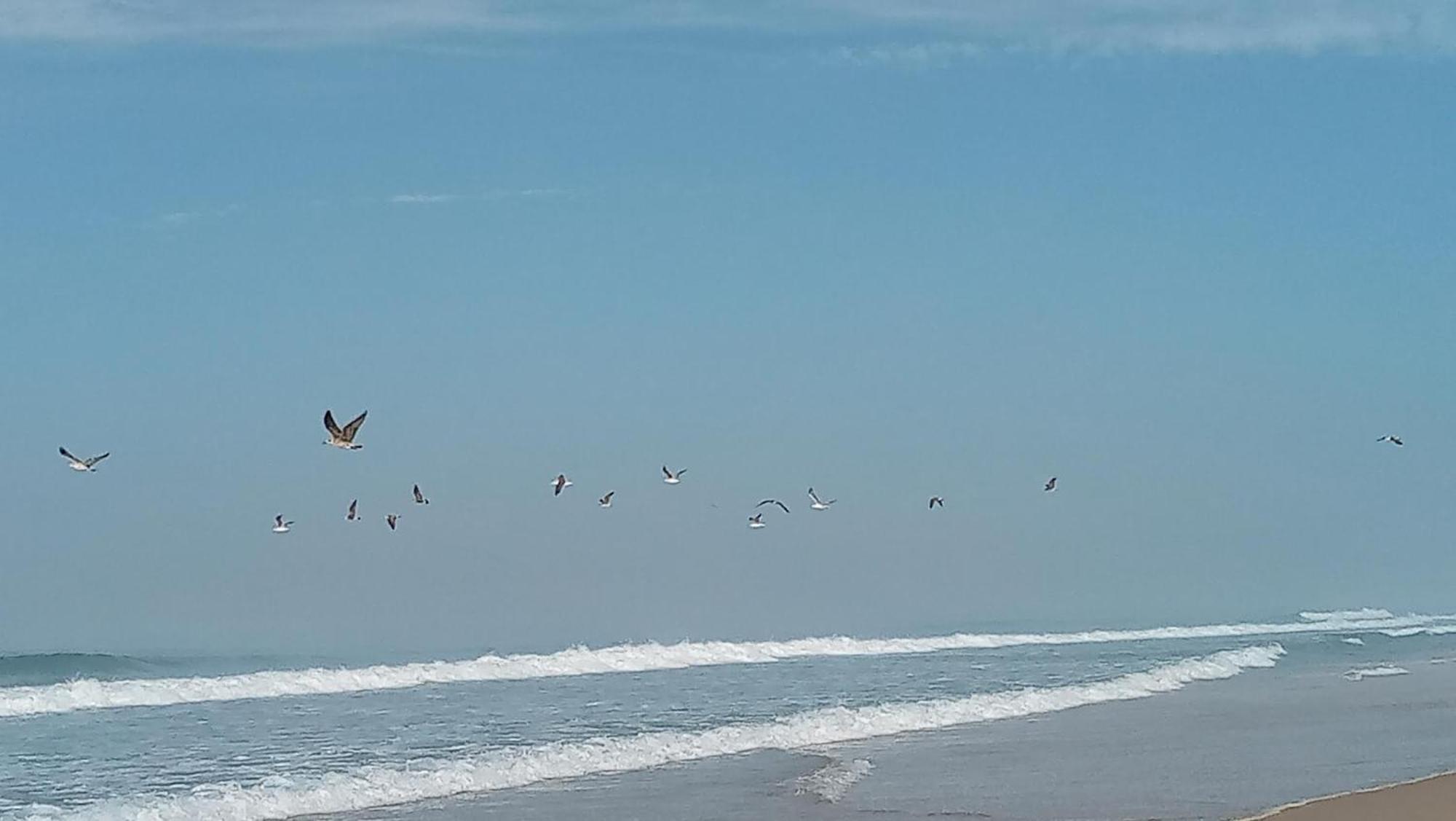 Casa Do Brejao Campo E Praia Одемира Екстериор снимка