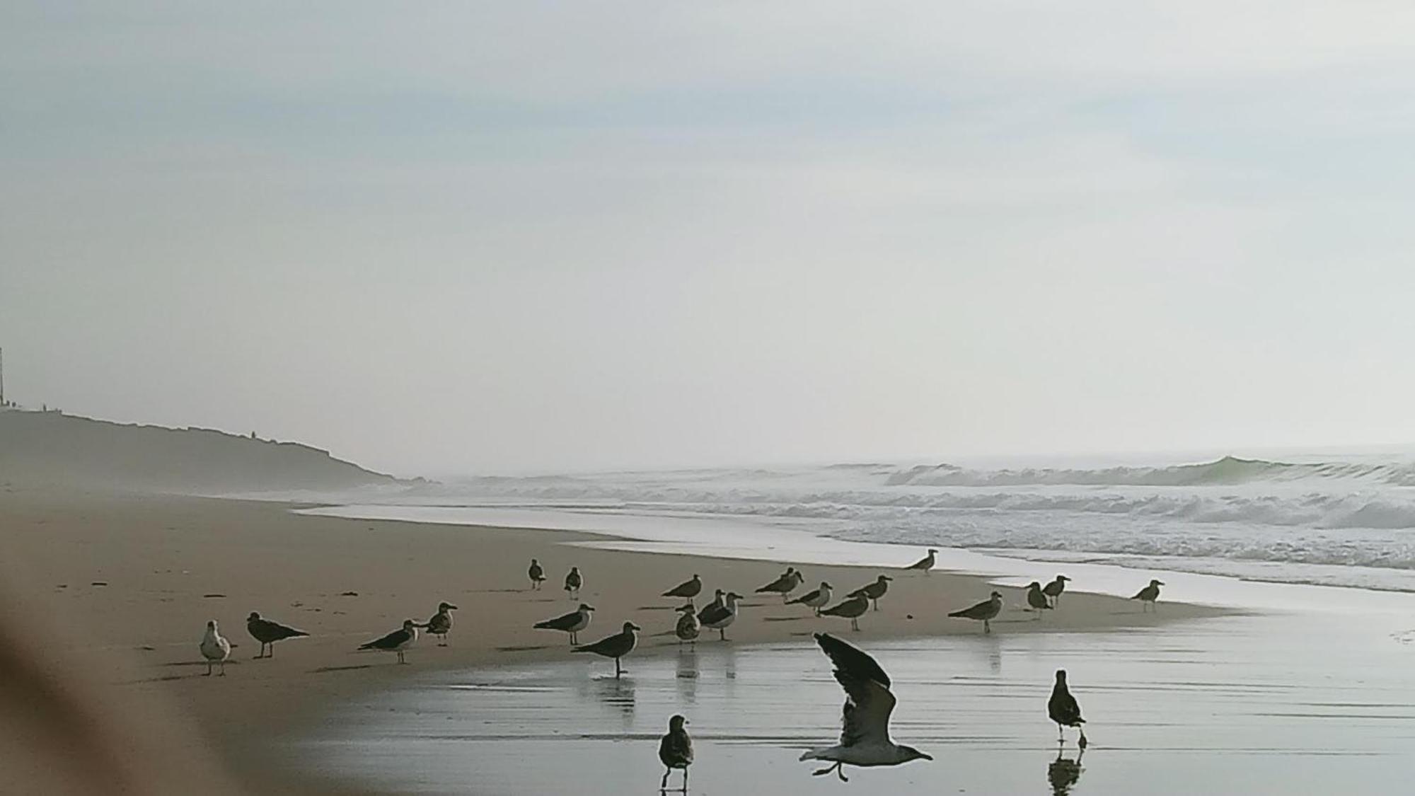Casa Do Brejao Campo E Praia Одемира Екстериор снимка