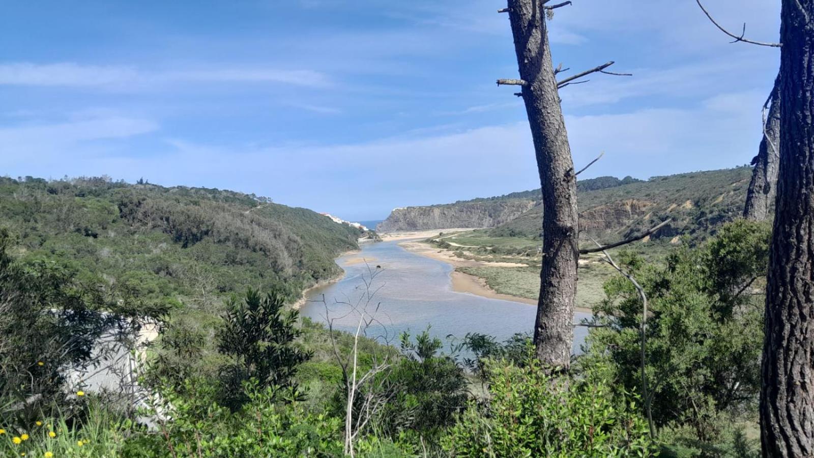 Casa Do Brejao Campo E Praia Одемира Екстериор снимка